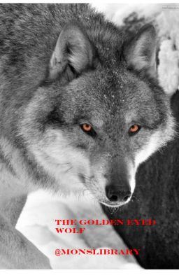 the golden eyed wolf icon