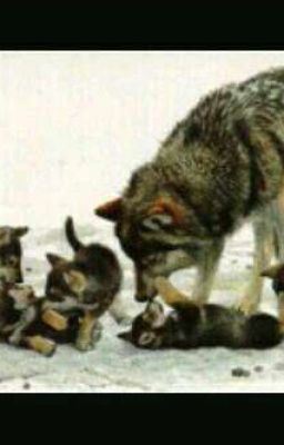 Heal The Pain (bxb) icon