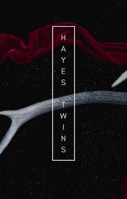 The Hayes Twins icon