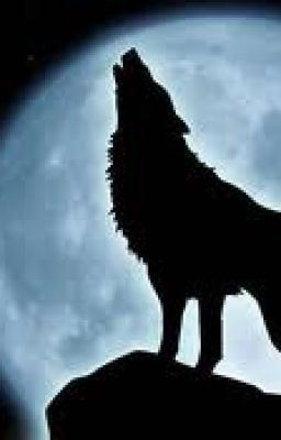 My Bad Boy Mate icon