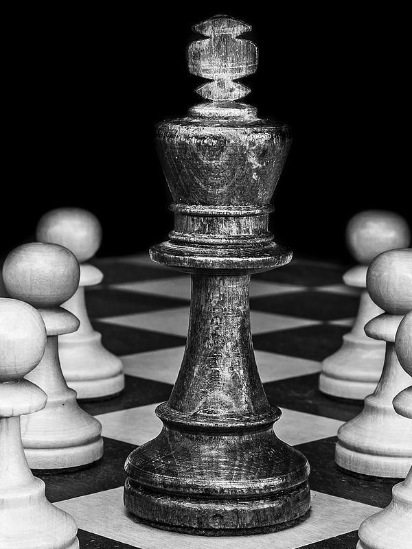 Age of Adventure icon