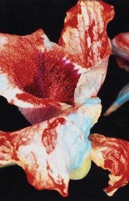 tsundere husband | jungkook ✓ icon