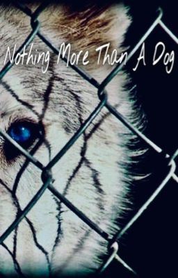 Nothing More Than A Dog icon
