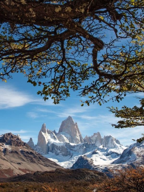 Came From The World Of Immortals icon