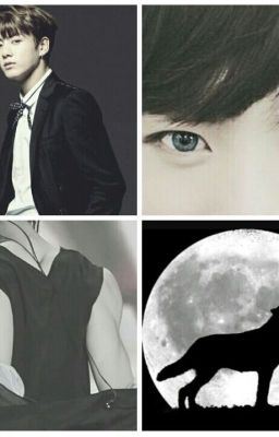 The Strongest Alpha's Mate/J.JK icon