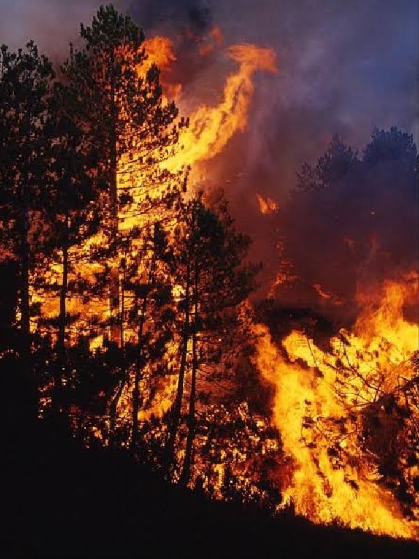 Foxtrot-5: World Beyond icon