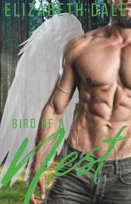 Bird of a Nest  (bow 3) icon