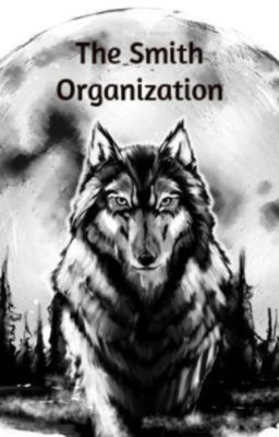 The Smith Organization icon