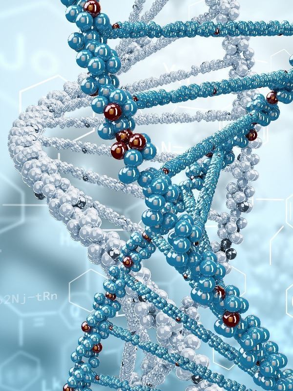 Night Evolution icon