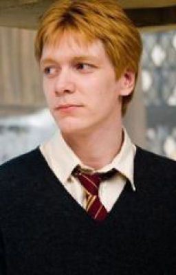The Weasley's and The Ravenclaw (George Weasley Love Story) icon