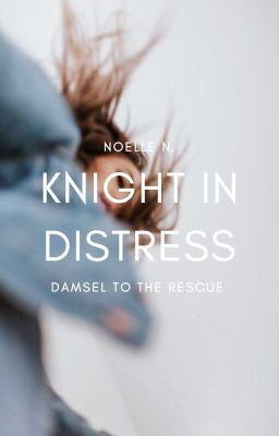 2.4 | Knight In Distress ✓ icon