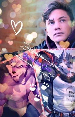 (NEW) You're The One icon