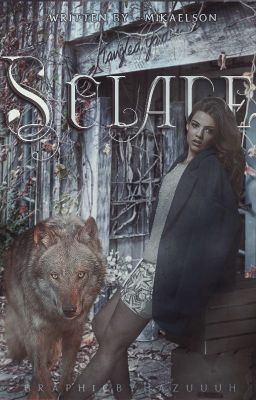 ✓ | SOLACE, Jacob Black icon