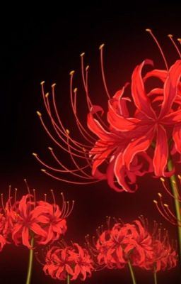 Am I stuck or reincarnated? (KNY fanfic) icon