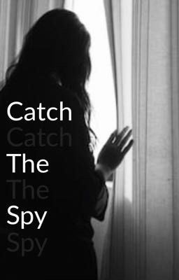 Catch The Spy (GxG) icon