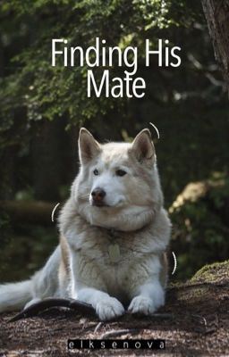 Finding His Mate (His Mate Book 1) icon