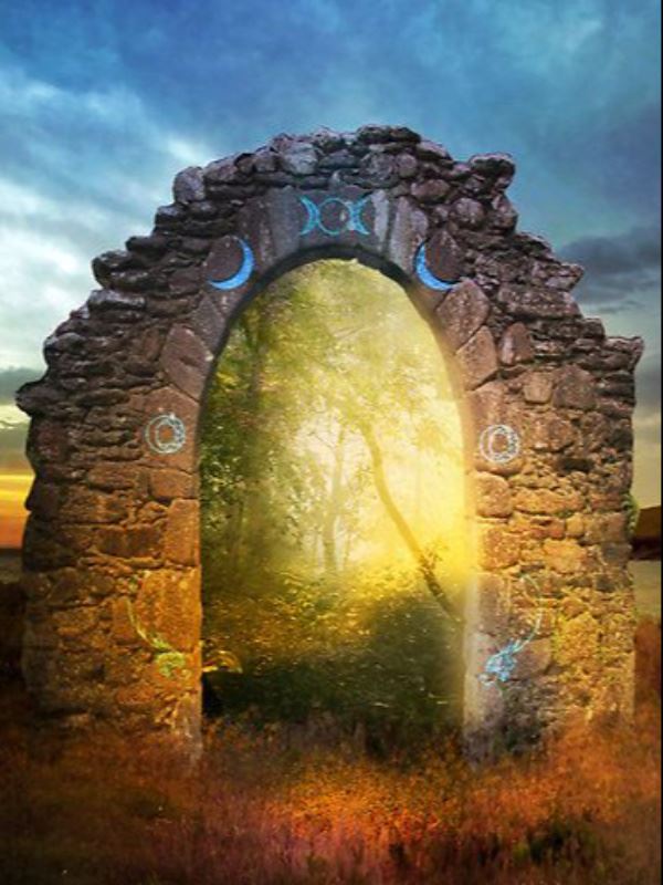 Immortal Evolution icon