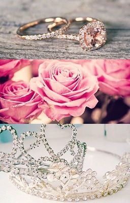 The Princess' Princess (Lesbian Story) icon