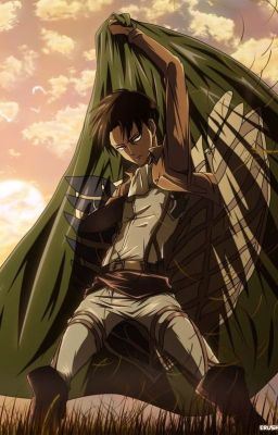 Levi x Reader Oneshots icon