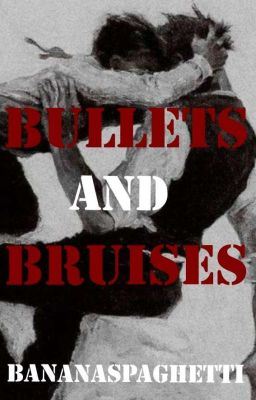 Bullets and Bruises icon