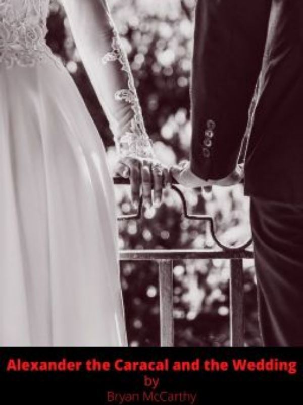 Alexander the Caracal and the Wedding icon