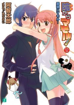 Kage Kara Mamoru! icon