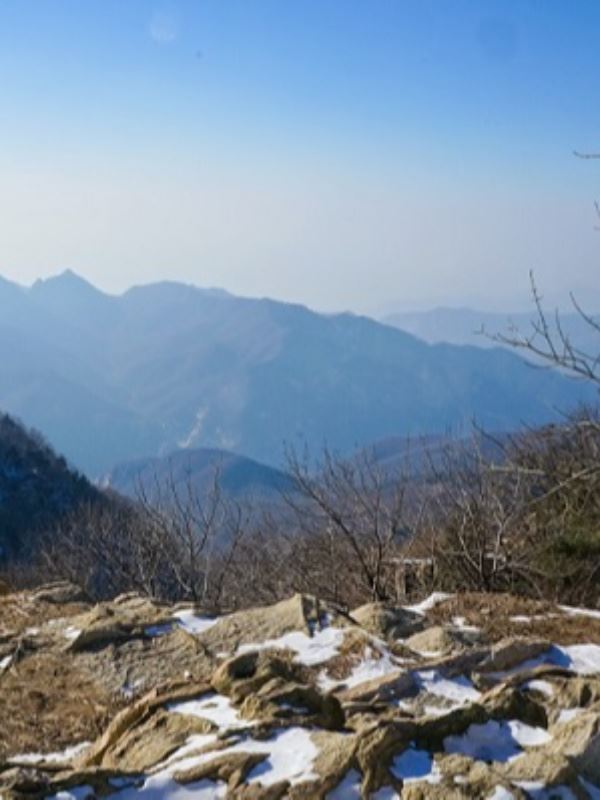 It's Hard Being A Background Character icon