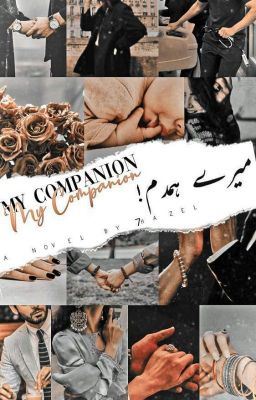 My companion | میرےہمدم icon