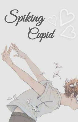 Spiking Cupid || Various!Haikyuu x Reader icon