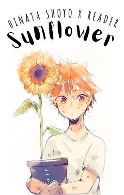 • Sunflower • Hinata Shoyo x Reader icon