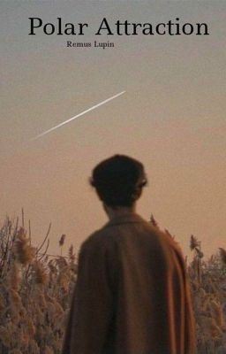 Polar Attraction 1 ~R.L icon