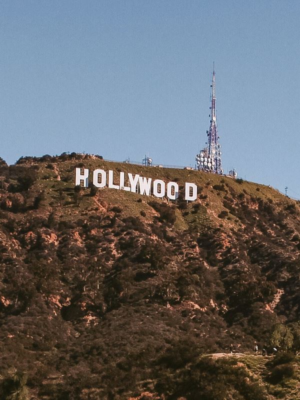 hollywood dominator icon