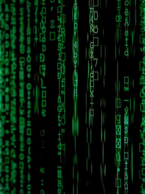 Game developer in a Virtual World icon