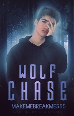 Wolf Chase |  ✔️ icon