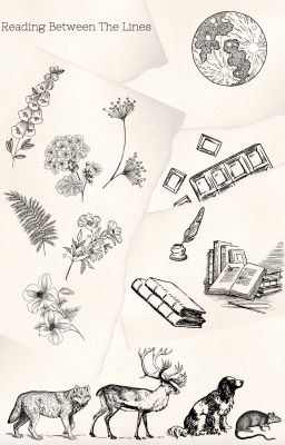 Reading Between The Lines ~ Remus Lupin icon