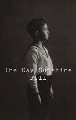 The Day Sunshine Fell icon