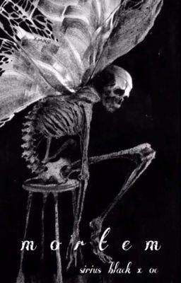 Mortem . Sirius Black icon