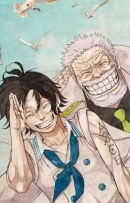 Male reader x one piece icon