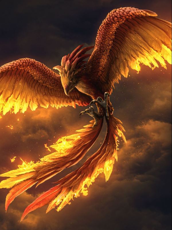 A HP & Percy Jackson xover: squatter icon