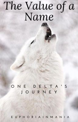 The Value of A Name - One Delta's Journey icon