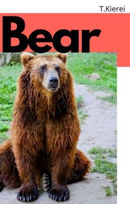 Bear-(mxm rever series 2) icon