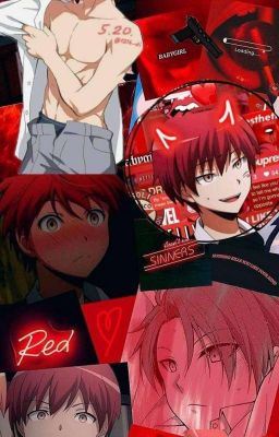 °Euphoria° ||Karma Akabane x reader|| icon