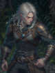 Witcher: The Half Elf icon
