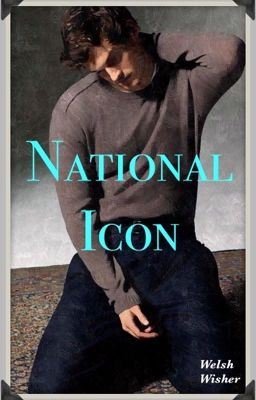 National Icon (BoyxBoy) icon