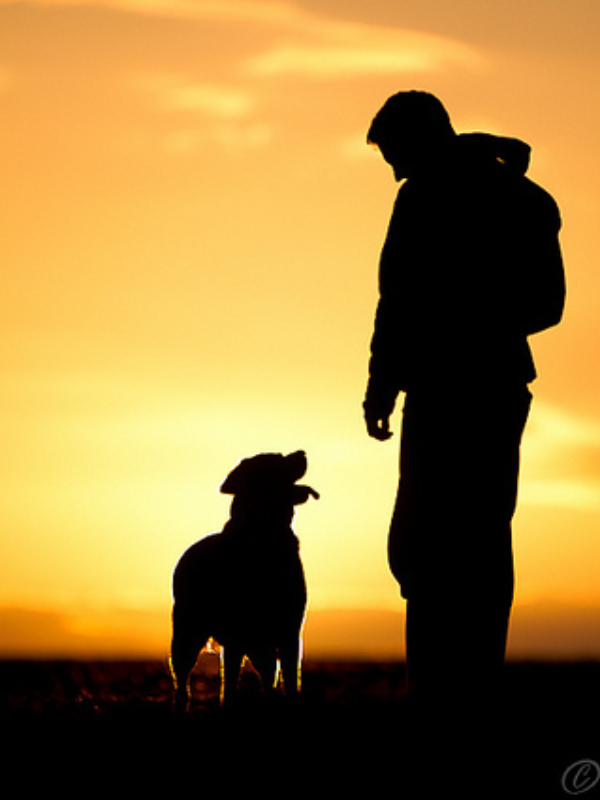 Titor's Short Stories icon