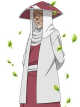 Will of embers icon