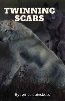 Twinning Scars - Remus Lupin x Reader [Book 1] icon