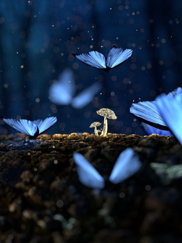 Shameless Passion icon