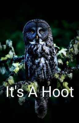 It's A Hoot (mxm) icon