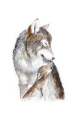 My little omega icon